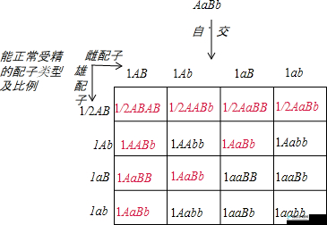 AABB 与 AAAA 的区别：特点与差异详解