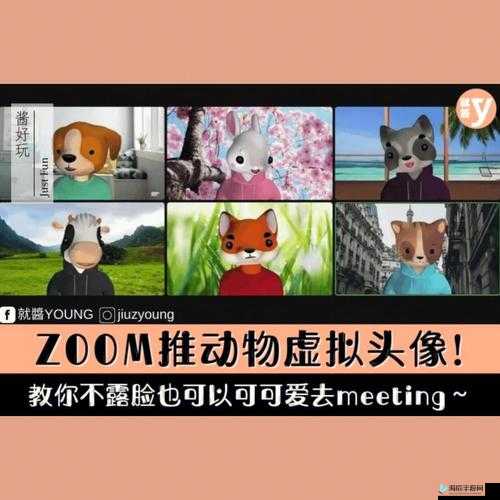 美国 Zoom 与动物 Zoom：奇妙的对比观察