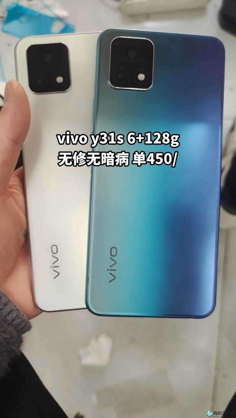 Vivoy31S-卓越性能畅爽体验