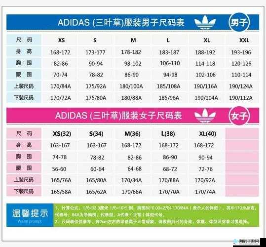 三叶草 M 码和欧洲码的区别分析