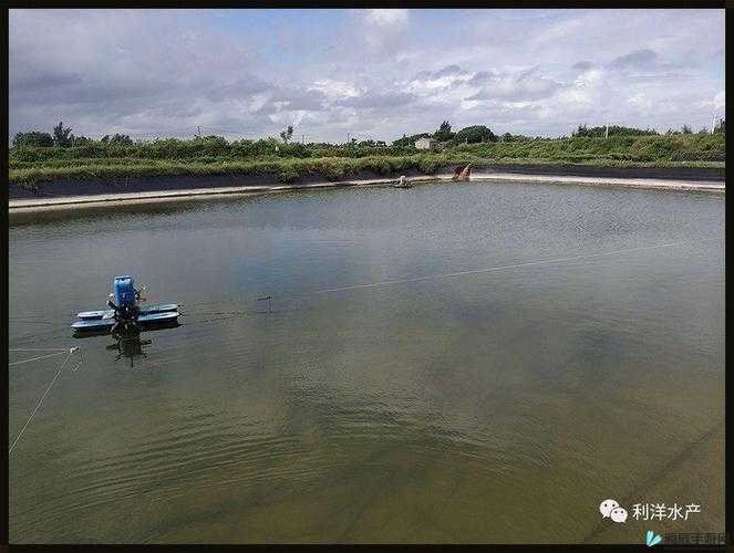 江教授的日常生活在线：揭秘教授的日常